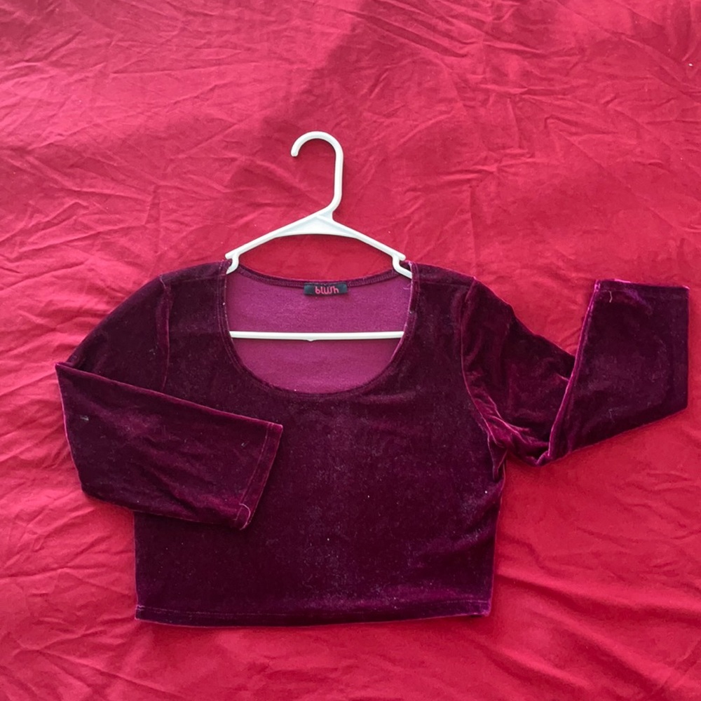 Velvet cropped top